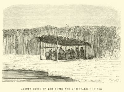 Antis and Antihuaris IndiansのAjoupa（小屋） 作： Edouard Riou